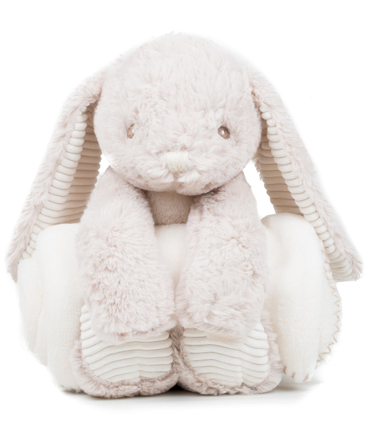 Rabbit and blanket