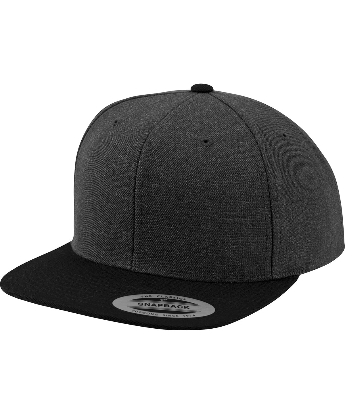 The classic snapback 2-tone  (6089MT)