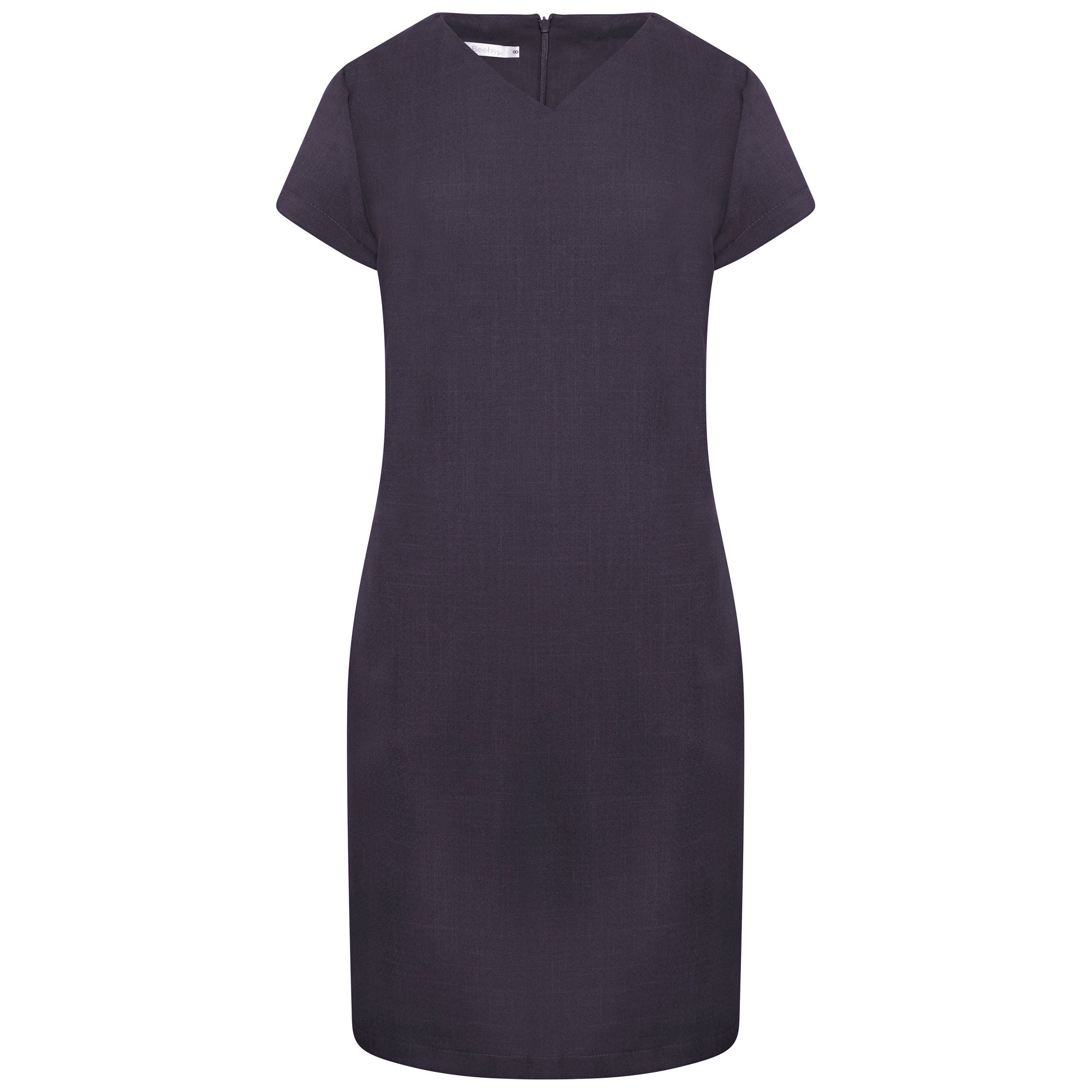 Workwear Dresses