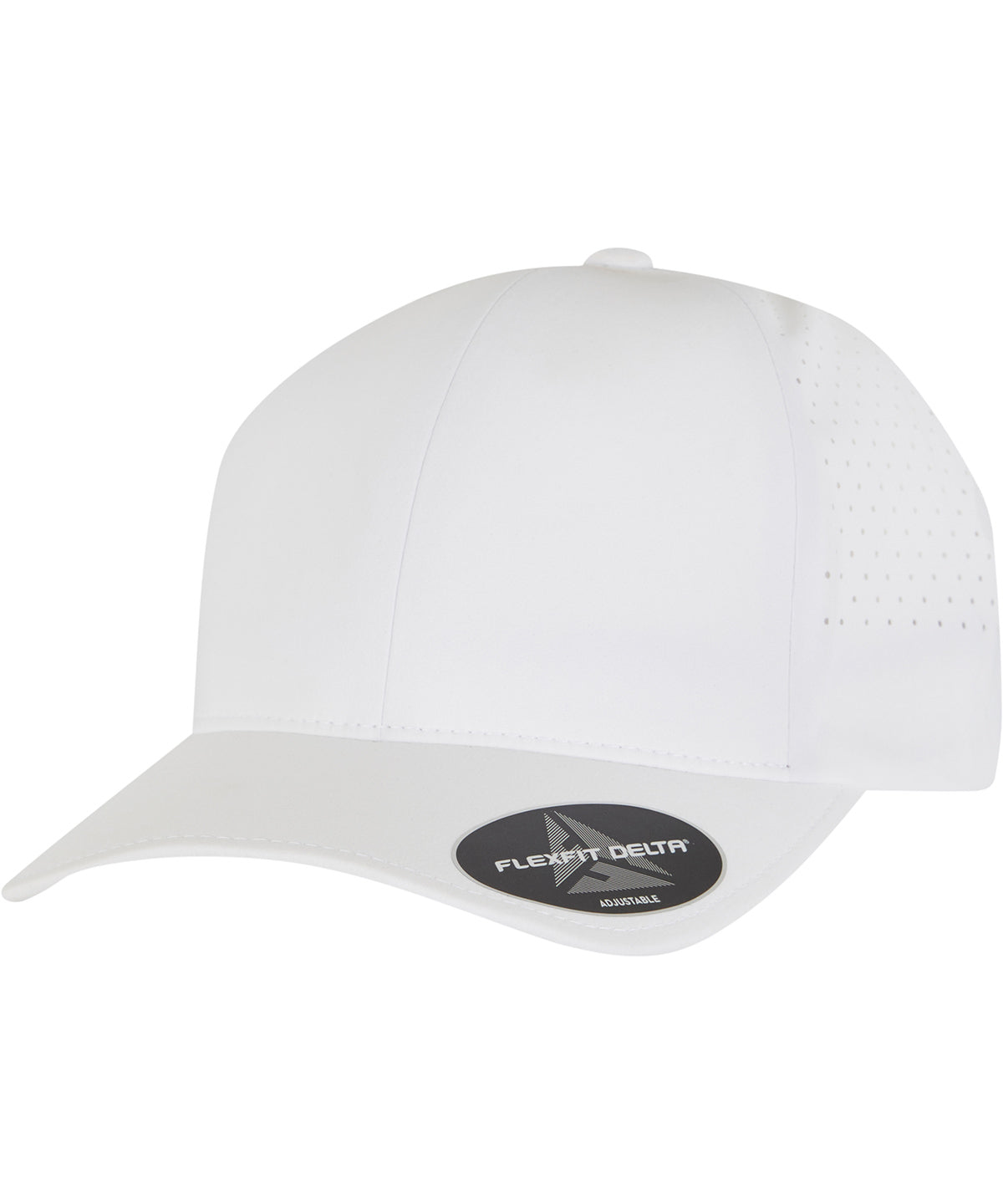 Flexfit Delta snapback (180AP)